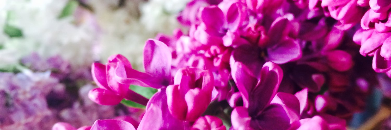 ElizabeteMIKRO's profile banner image