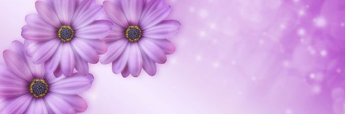 💫✨💜🌸💜水月鏡花💜🌸💜✨💫's banner