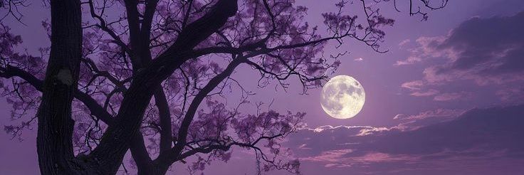 ✨️ 2Q 🌕 banner