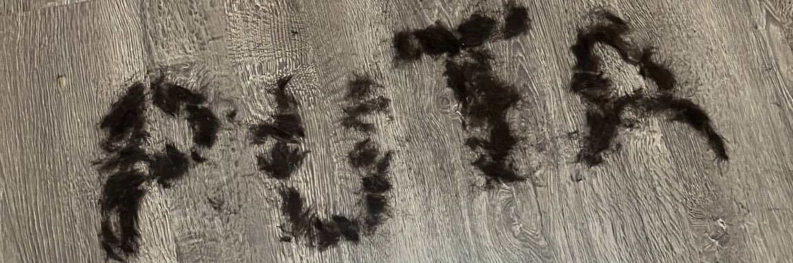 CodepacoCandela banner