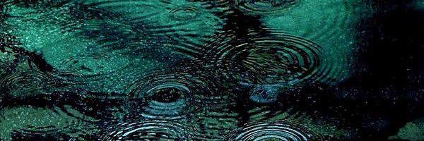 Anne Sternbach banner