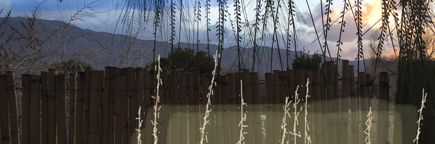 guadaguiar's profile banner image