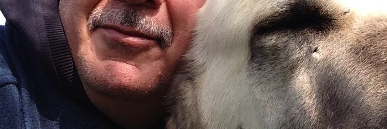 KamilErogl's profile banner image