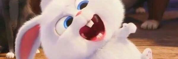 whatwrongu's profile banner image