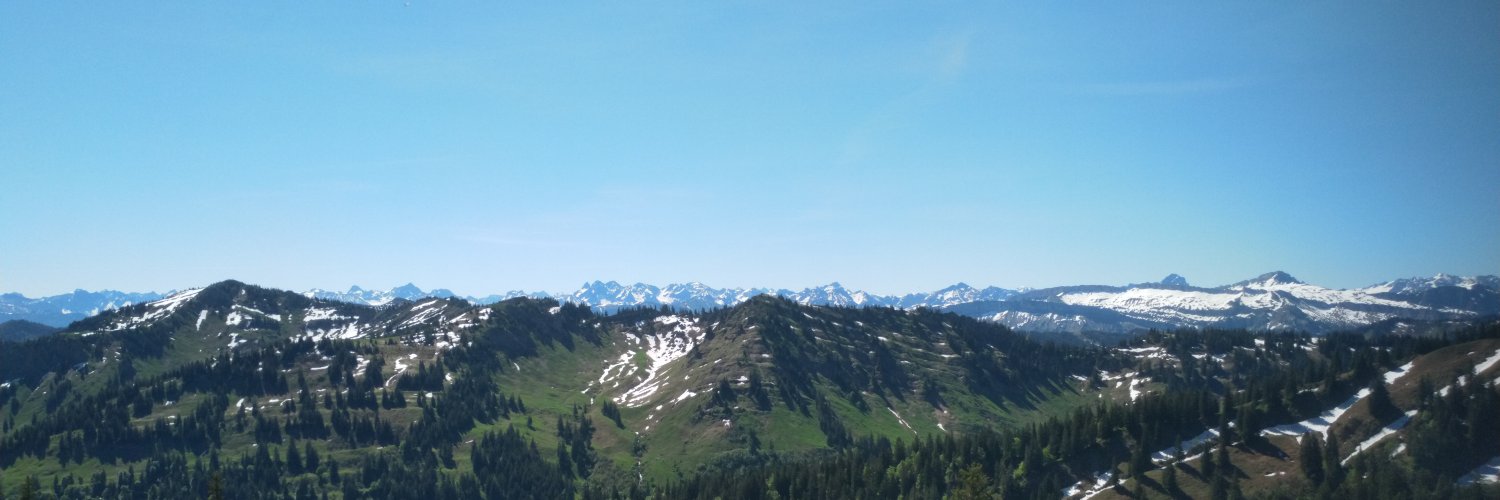 Dr. Karl Stuhler banner