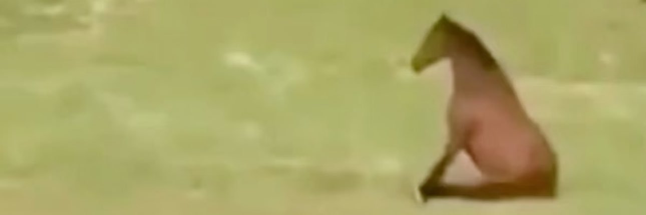 zaqwsxxcdee's profile banner image