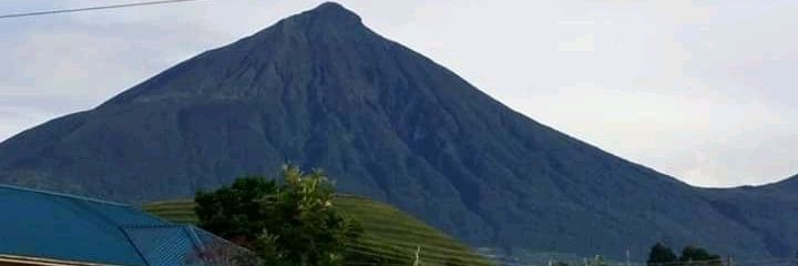 Paul 🇺🇬 banner