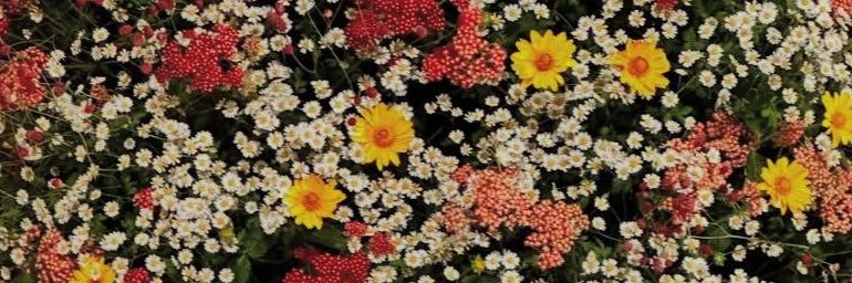 suntaennedvibes's profile banner image