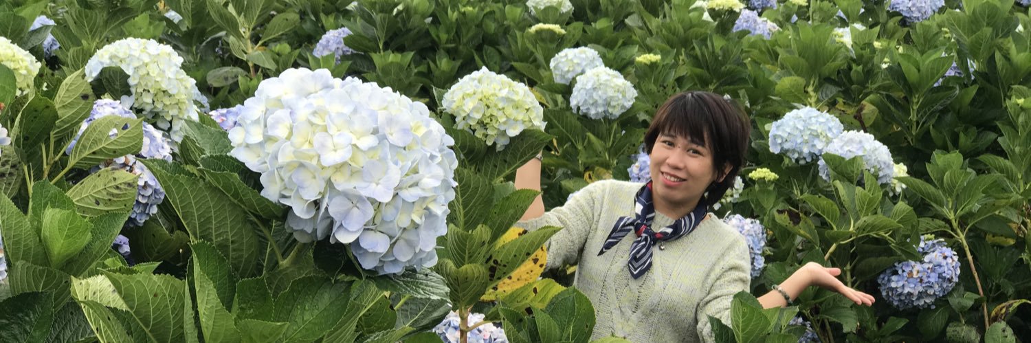 in_danang's profile banner image