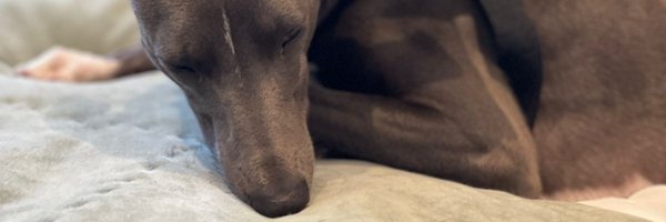 LouisOrigny Profile Banner