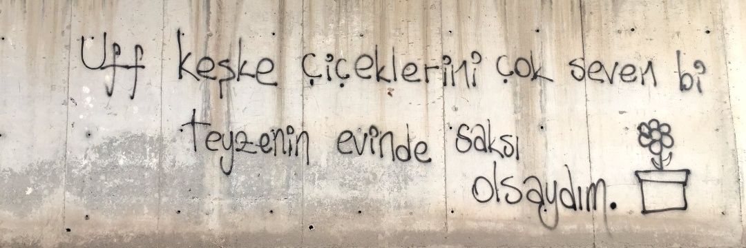 zeynepiates's profile banner image