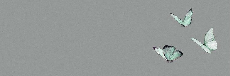 عمق الإحساس banner