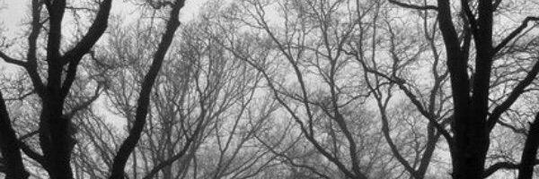 CrawfSmile's profile banner image