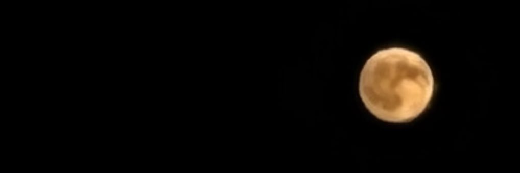 vinstaee's profile banner image