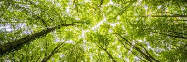 littlestepsgma Profile Banner