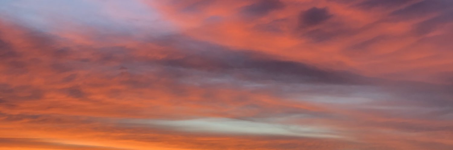 sofisilva_06's profile banner image