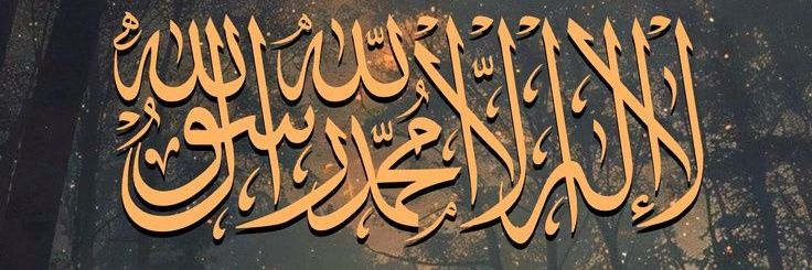 مُحسن غُصن banner