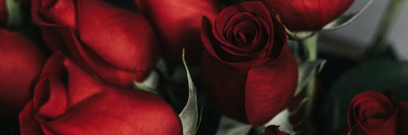obviousenvy_'s profile banner image