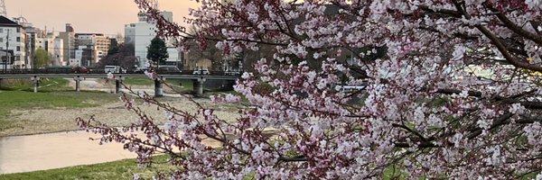 ESa7doIvROoVHDa Profile Banner