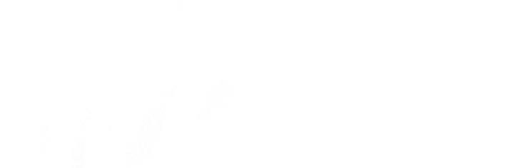 CamilSansonetti's profile banner image
