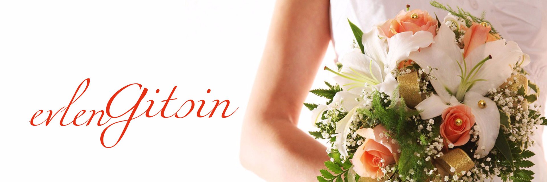 evlengitsin's profile banner image