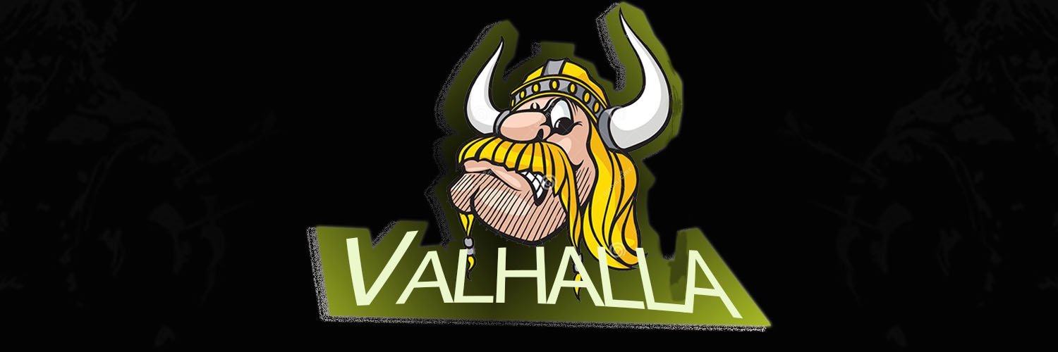 4teamvalhalla's profile banner image