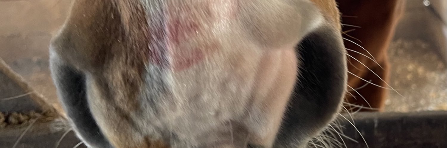 rol2s's profile banner image