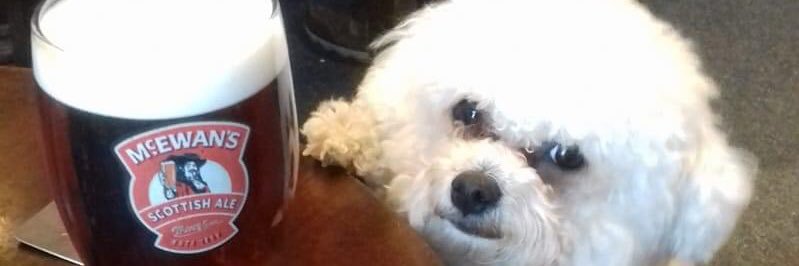 Murray Anderson54 banner