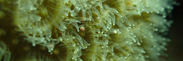 Alex_prie Profile Banner