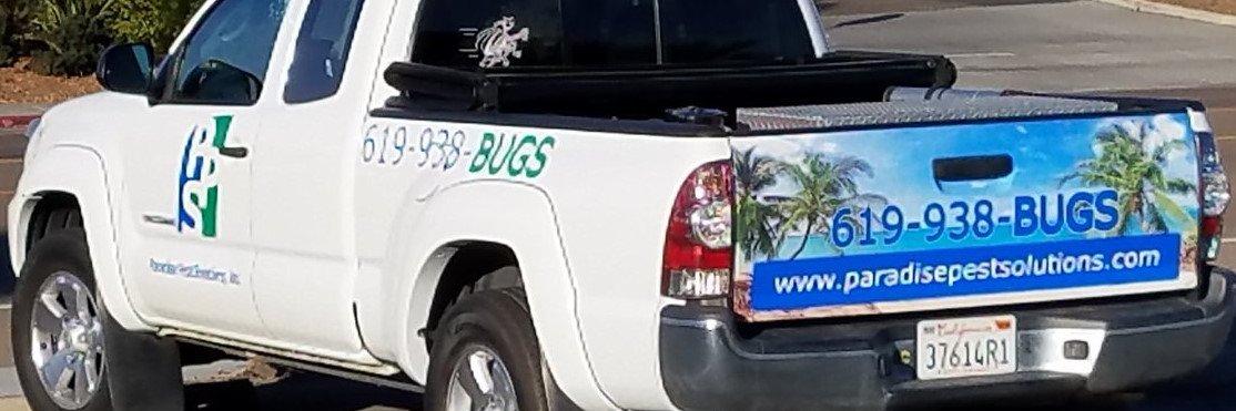 ParadisePestSD's profile banner image