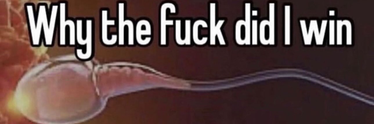 linus ✰ banner