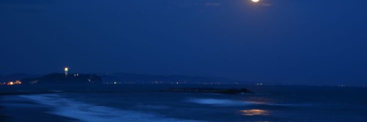 yoajspetmoth's profile banner image
