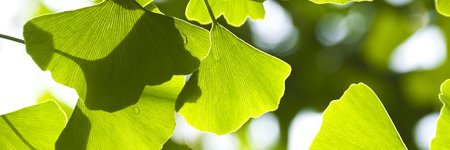 BiosUrn's profile banner image