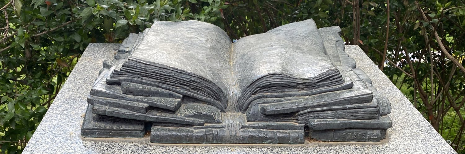 Alejandro Cubí banner