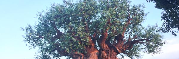 jonhen09 Profile Banner