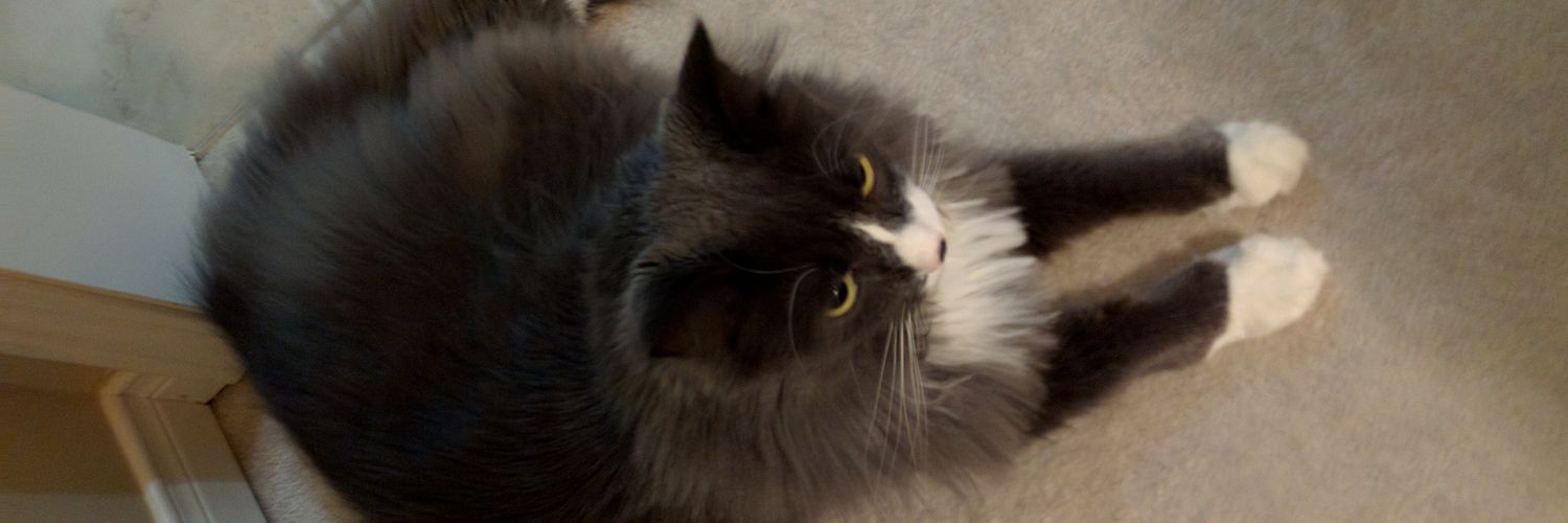 Rajh❤️🇨🇦 banner