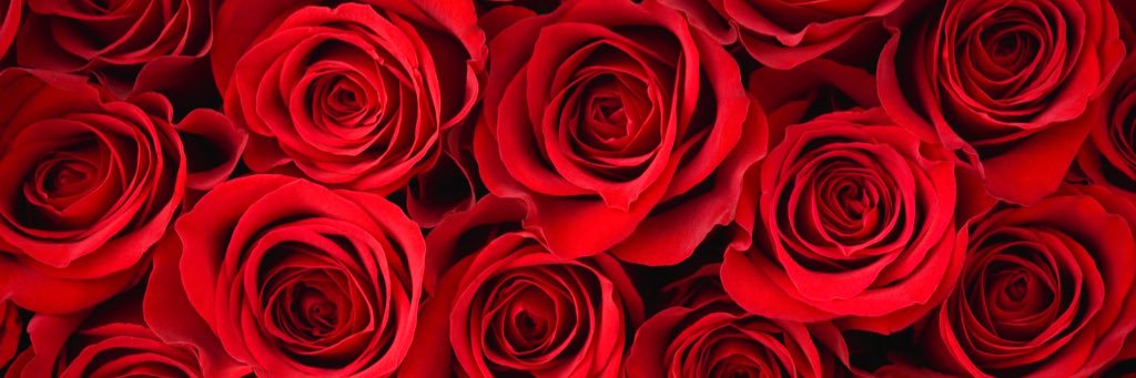 ashley121798's profile banner image