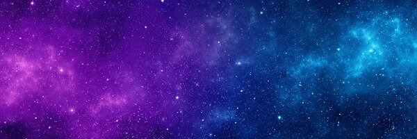 raspbaer Profile Banner
