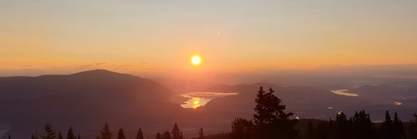 itmightbeace Profile Banner