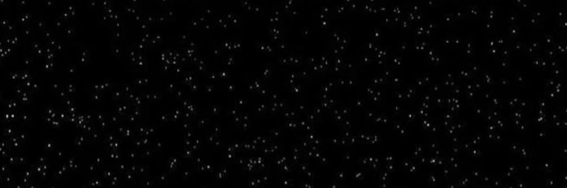 S banner