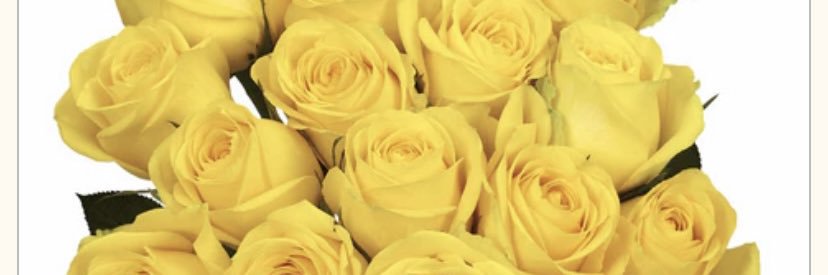 الشهرانيه💛💛's banner
