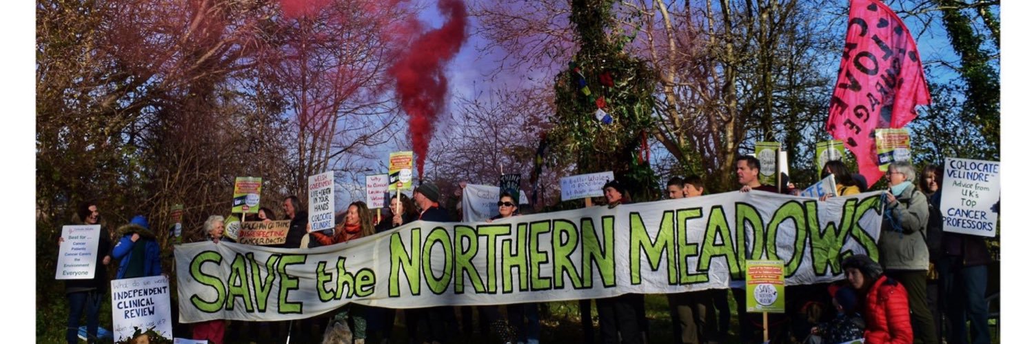 Save the Northern Meadows 🍃💚🍃 banner
