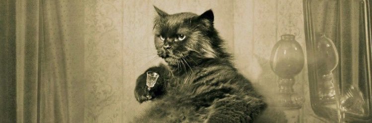 Market  Junky banner