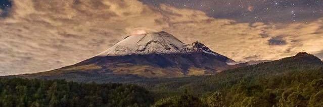 gorila_alado's profile banner image