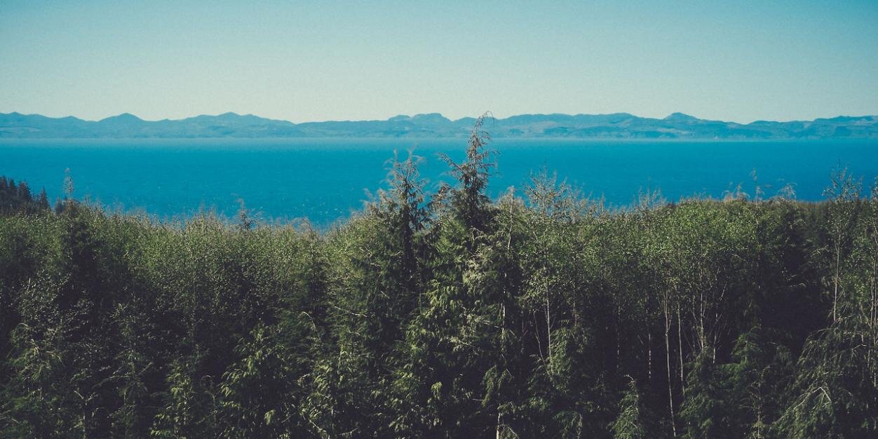 Tweets De Quotes banner