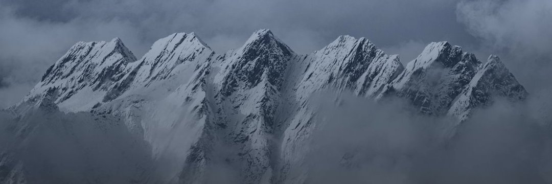 DavidNuti's profile banner image