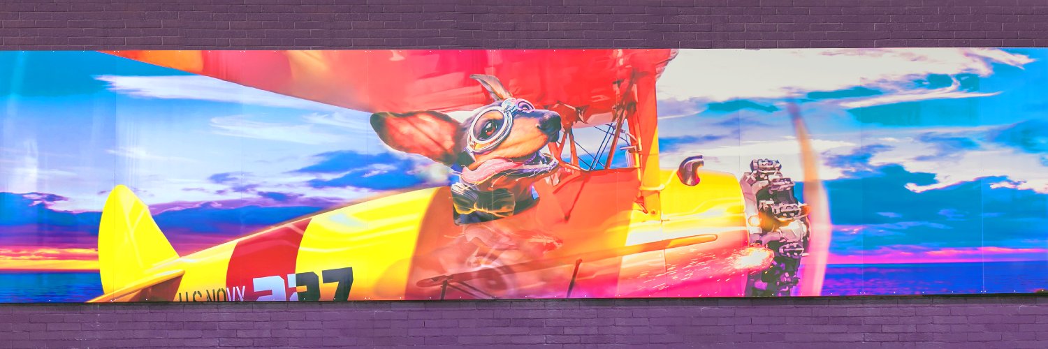 Rocky, CEO banner