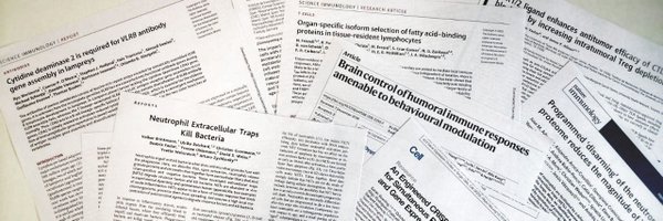 publicjournalc Profile Banner