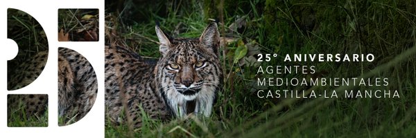 AAMM_JCCM Profile Banner