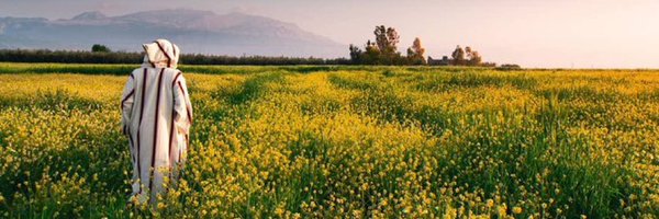 ladelha Profile Banner